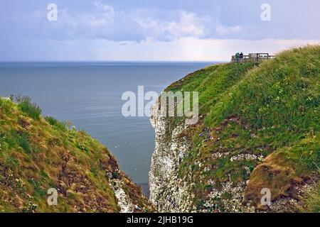 Seabird colonies nesting on Bempton Cliffs on the Yorkshire Coast Stock Photo