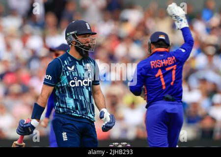 Download Smiling Ravindra Jadeja In Blue Unifrom Wallpaper | Wallpapers.com