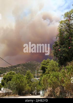 Wildfire in the Sierra de Mijas, huge smoke column can be seen during pine forest fire. 18 july 2022, Mijas, Andalucia, Spain. Stock Photo