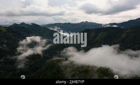 Mountains with forest covered with clouds and fogs at dusk. Stock Photo