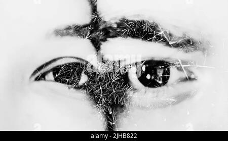 Double exposure eyes of a couple combined with photograph of greenery, leaves, man and woman eyes close-up, black and white photography Stock Photo