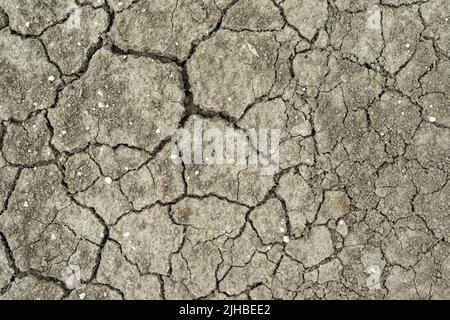 Cracked dry gray soil, earth background Stock Photo