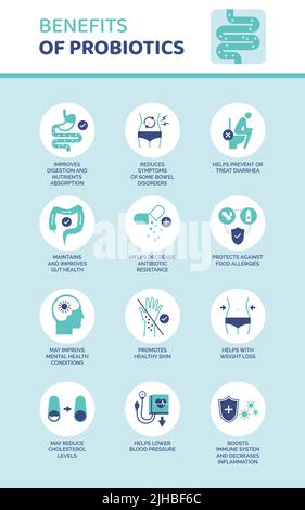 Benefits of probiotics medical infographic with icons set: digestive system health and wellbeing Stock Vector