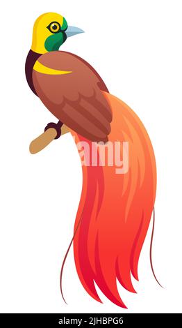 Raggiana bird-of-paradise (Paradisaea raggiana) national bird of Papua New Guinea. Cartoon vector illustration. Stock Vector