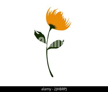 Beautiful Yellow flower with dark green leaves isolated on white background - vector illustration Stock Vector