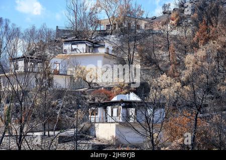Fire damaged houses, caused by a wild fire on a hilside at Koroni, Messinia, on the Southern tip of the  Peloponnese, Greece. Stock Photo