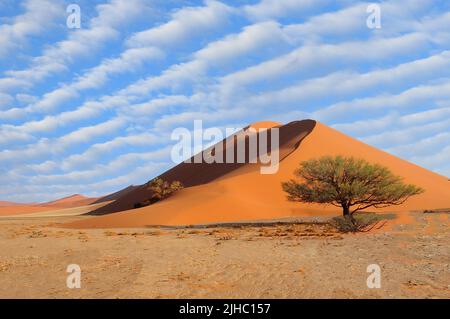 Sand dunes in the Namib desert Stock Photo