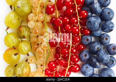 Berries overhead colorful assorted mix of gooseberry, blueberry, red currant. Stock Photo