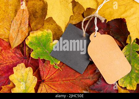 Blank label on colored fallen leaves. Autumn sale and discounts. Thanksgiving and harvest concept. Copy space. Stock Photo