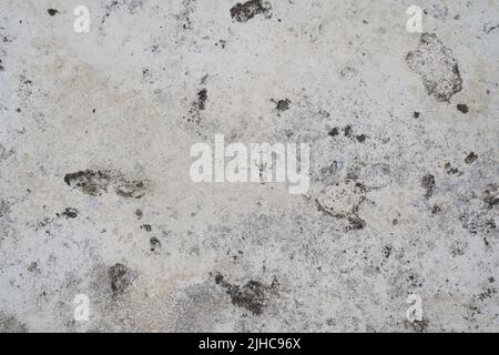 white concrete wall texture. High quality photo Stock Photo