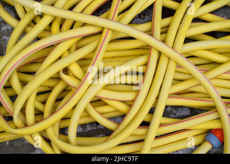 Yellow plastic hose pipe in the garden Stock Photo - Alamy