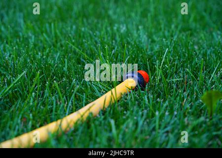 Close up of a yellow plastic water hose with no running water lying a little bent, on green short-cut grass. High quality photo Stock Photo