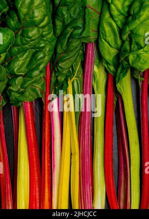 Swiss Chard on a dark surface Stock Photo