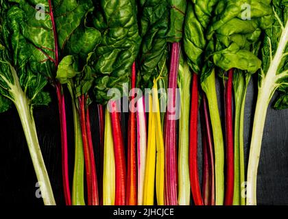 Swiss Chard on a dark surface Stock Photo