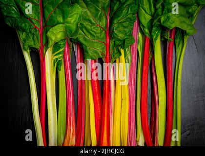 Swiss Chard on a dark surface Stock Photo