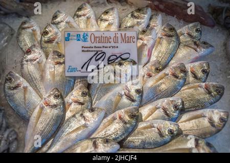 Oratine di Mare (Gilt-headed bream/Sparus aurata) displayed on the Rialto Market in Venice, Italy Stock Photo