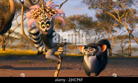 KING JULIEN, MAURICE, MADAGASCAR: ESCAPE 2 AFRICA, 2008 Stock Photo