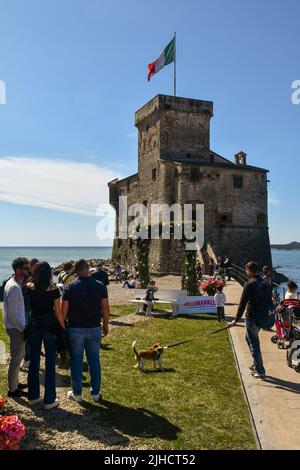 The castle of Rapallo, built on the seashore to defend the town from the Saracen pirates, during the Easter day celebrations, Genoa, Liguria, Italy Stock Photo
