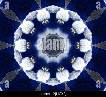 Kaleidoscopic blue night sky with textured fur, pelt, hair; round optical illusion with hypnotic effect. Stock Photo