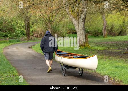 Issaquah, Washington, USA.  Man pulling his canoe on a dolly to transport it to Lake Sammamish. (MR) Stock Photo