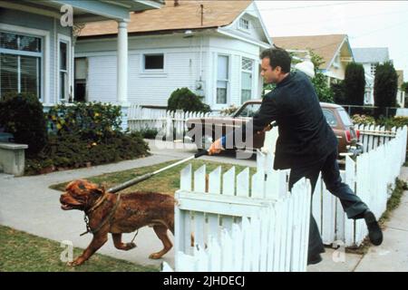 TOM HANKS, DOG, TURNER and HOOCH, 1989 Stock Photo