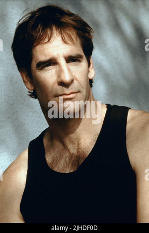 SCOTT BAKULA, AMERICAN BEAUTY, 1999 Stock Photo