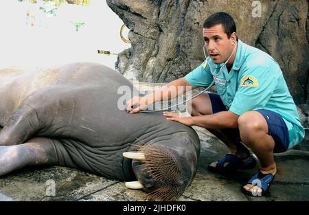 ADAM SANDLER, 50 FIRST DATES, 2004 Stock Photo