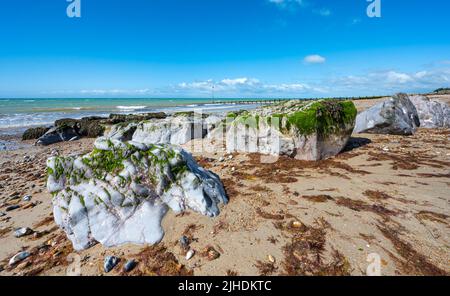 Large rocks on sandy beach, covered in green algae at low tide, ultra wide angle view, on a beach at the coast in the UK. Stock Photo