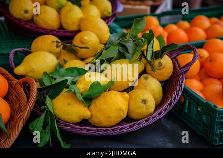 Ripe yellow lemons on a stand at a local outdoor farmers market Cours Saleya in the Old Town, Vieille Ville in Nice, French Riviera, France Stock Photo