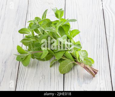Bunch of fresh melissa on white wooden background Stock Photo