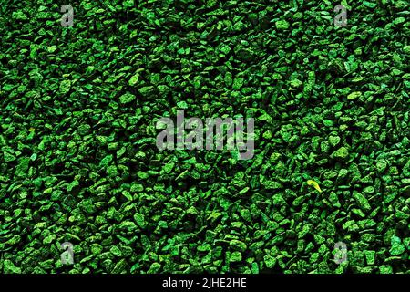 Green dark background of small stones for decor and text Stock Photo