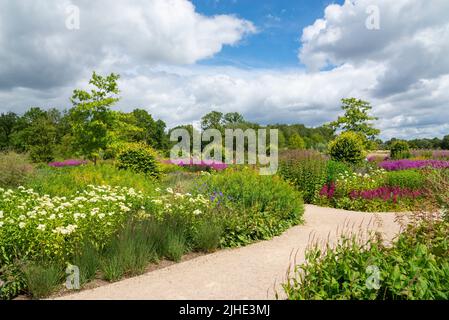 RHS Bridgewater garden, near Manchester, England in mid summer. The Worsley welcome garden with naturalistic planting. Stock Photo