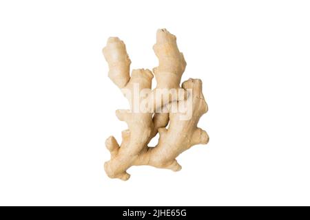 Fresh ginger isolated on white background, herb medical concept top view. Stock Photo