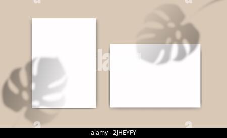 A4 paper mockup with overlay leaf shadow from window. Tropical monstera transparent reflection on beige background. Realistic vector template for Stock Vector