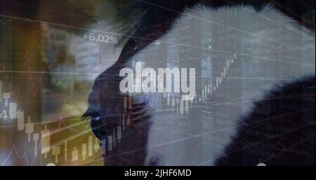 Image of data processing over horse Stock Photo