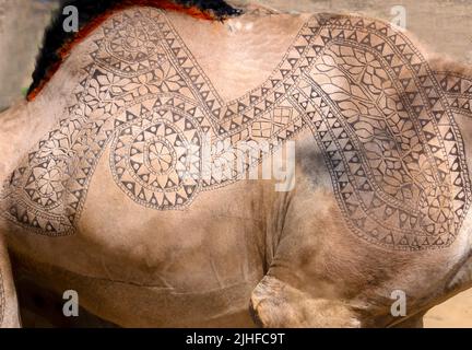 carving on the camel skin, skin carving, camel skindesign , culture of rohi desert, skin carving of camels in the cholistan desert Stock Photo