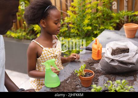 Image of happy african american daughter and father gardening Stock Photo