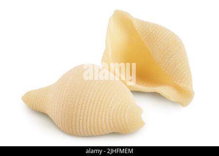Conchiglioni italian pasta isolated on white background with full depth of field Stock Photo