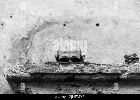 Black and white photo of half human skull on a ruined wall Stock Photo