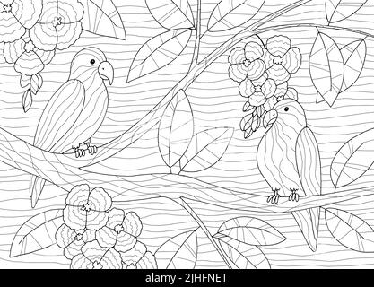 Parrot coloring sitting on tree birdhouse graphic black white sketch illustration vector Stock Vector