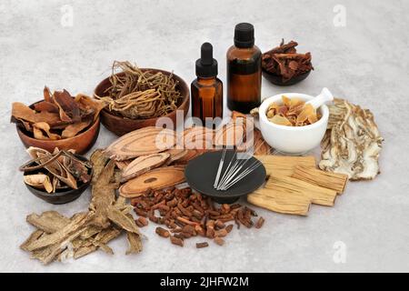 Chinese alternative acupuncture medical treatment with herbs and spice used in herbal plant medicine. Natural Asian culture health care concept. Stock Photo