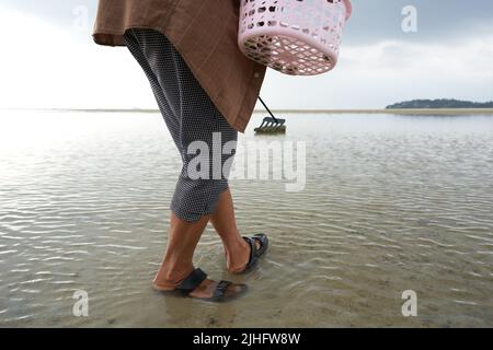 Ko Phangan, Thailand, March 15, 2022: legs of a person working collecting clams Stock Photo