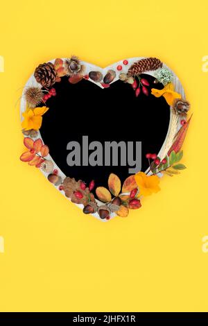 Heart shaped Autumn chalkboard frame, leaves, flowers, berries, grain and nuts. Thanksgiving and Halloween vivid nature composition with natural flora Stock Photo