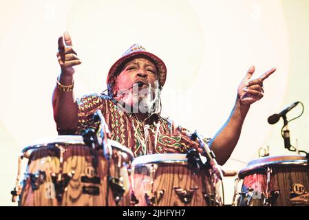 ITALY, GRUGLIASCO, JULY 2ND 2019: Leon Mobley, percussionist of the American rock band “Ben Harper & The Innocent Criminals”, performing live on stage at the “Gruvillage Festival” 2019 edition Stock Photo
