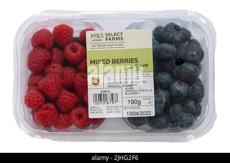 Mixed berries raspberries and blueberries from M&S select farms isolated on white background - produce of Morocco, Moroccan Stock Photo