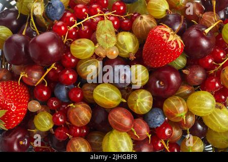 Berries overhead colorful assorted mix of strawberry, blueberry, red currant. Stock Photo