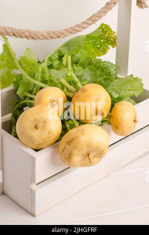 Fresh yellow turnip with stems and green leaves in a box on a white wooden background. Stock Photo