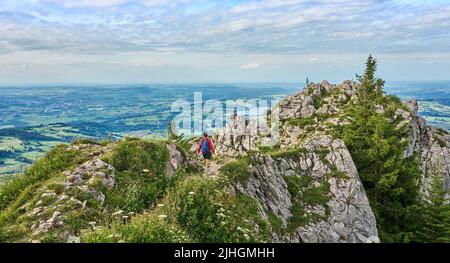 nice senior woman hiking at Mount Gruenten in the Allgaeu Alps with awesomw view over Iller valley to Lake Alpsee and Lake of Constanz, Bodensee,  Bav Stock Photo