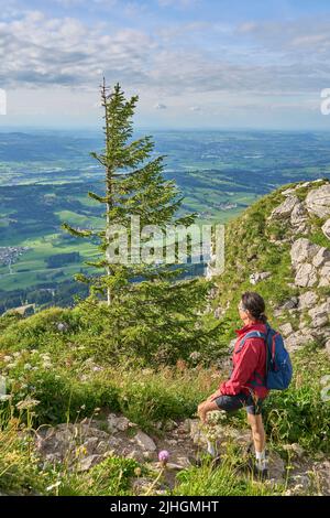 nice senior woman hiking at Mount Gruenten in the Allgaeu Alps with awesomw view over Iller valley to Lake Alpsee and Lake of Constanz, Bodensee,  Bav Stock Photo