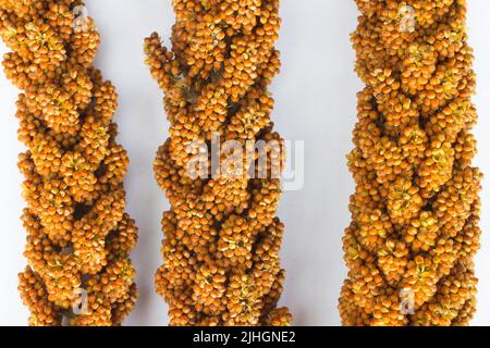 Three twig red millet on white background. top view Stock Photo